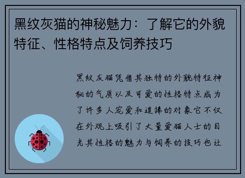 黑纹灰猫的神秘魅力：了解它的外貌特征、性格特点及饲养技巧